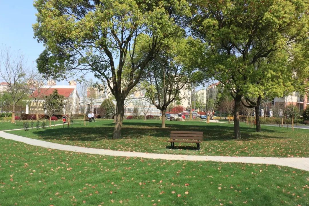 松江国际生态商务区地标,松江国际生态公园