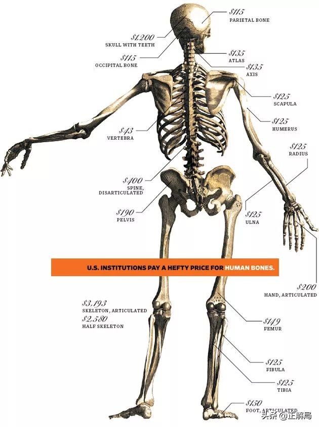 印度最黑暗神秘产业,印度黑产