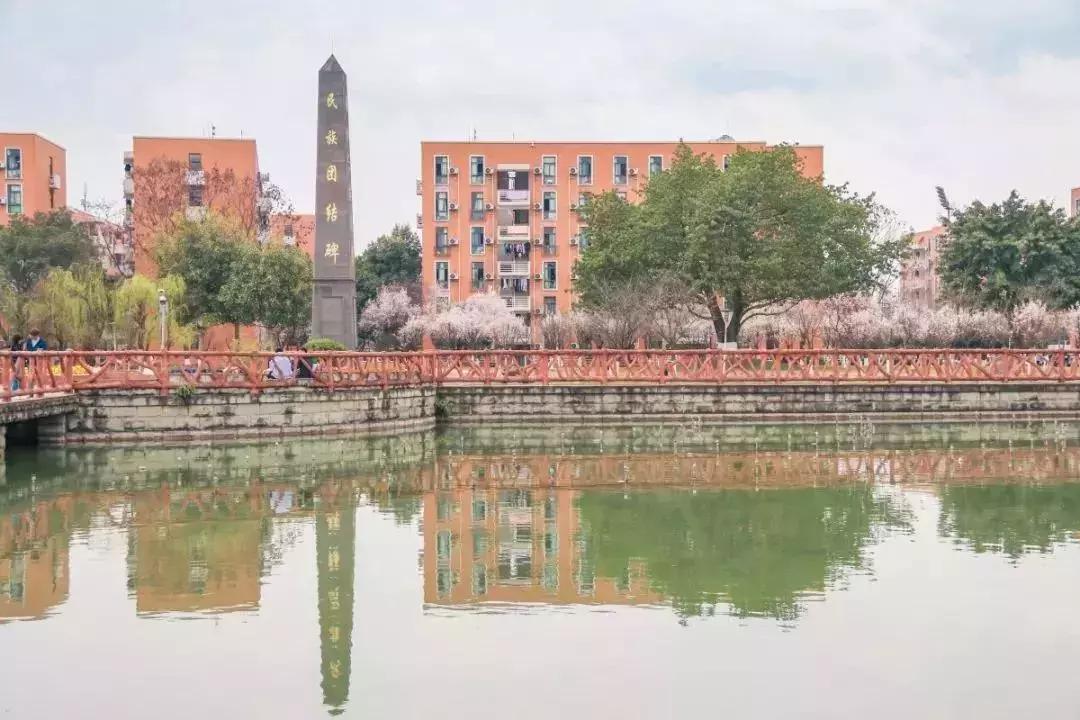 一头扎进春天里云南,美如仙境的西南民大