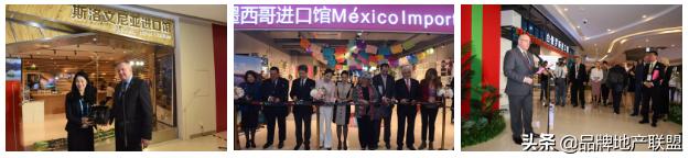 绿地全球贸易港项目一期,绿地进口博览会