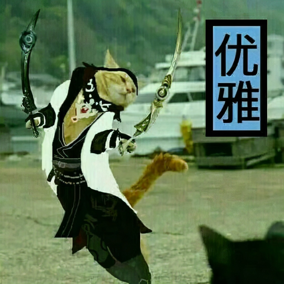 剑网三劫镖门派,剑网三劫富济贫