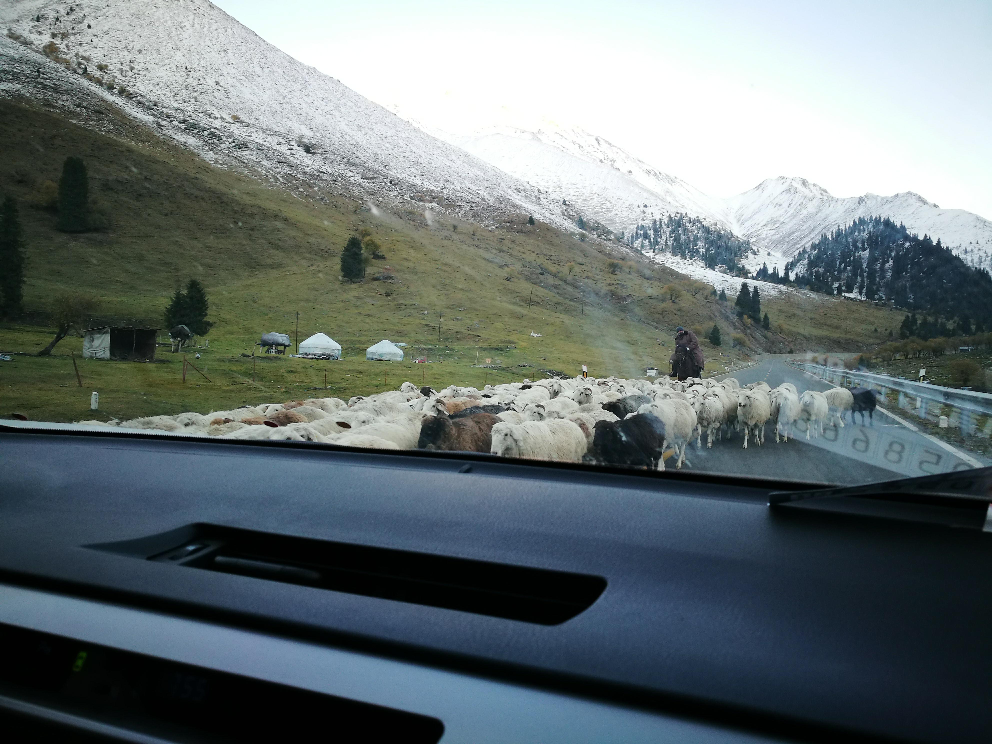 独库公路之旅日记,13000公里自驾新疆第十二天