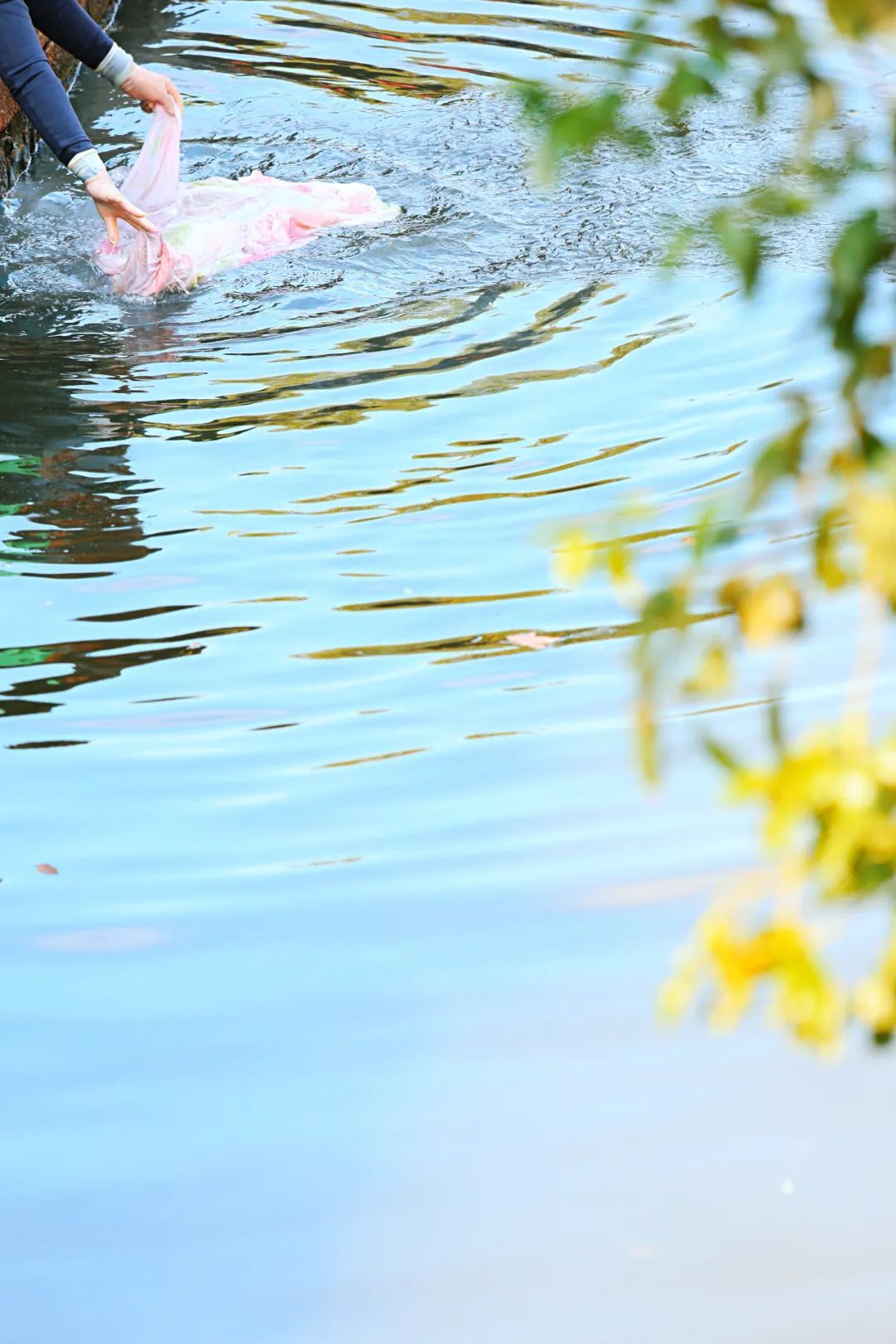 别再去西塘周庄挤了！苏州最有人间烟火气的古镇，假期依旧安静