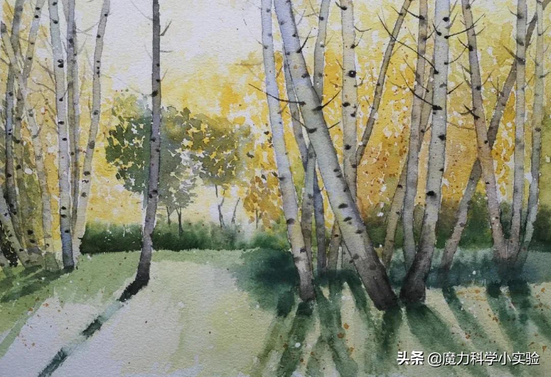 vlog我的日常从幼稚到成熟,vlog小时候的生活记忆