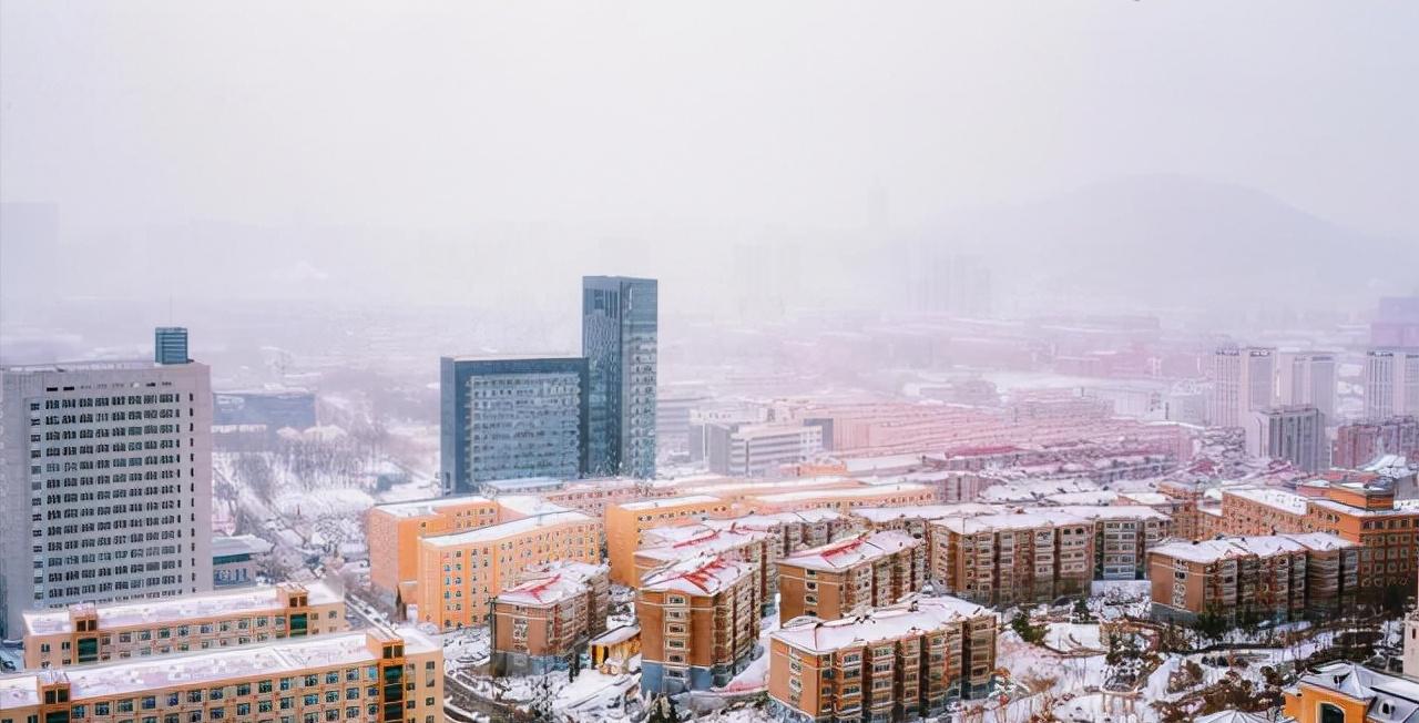 职业高中哪些专业可以考本科,职业高中适合考什么