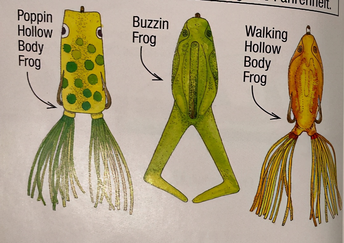 很雷的路亚,雷强路亚钓法视频教程