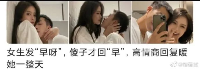 看到铲屎官终于回家，立即安心地睡着了|冷段子1986