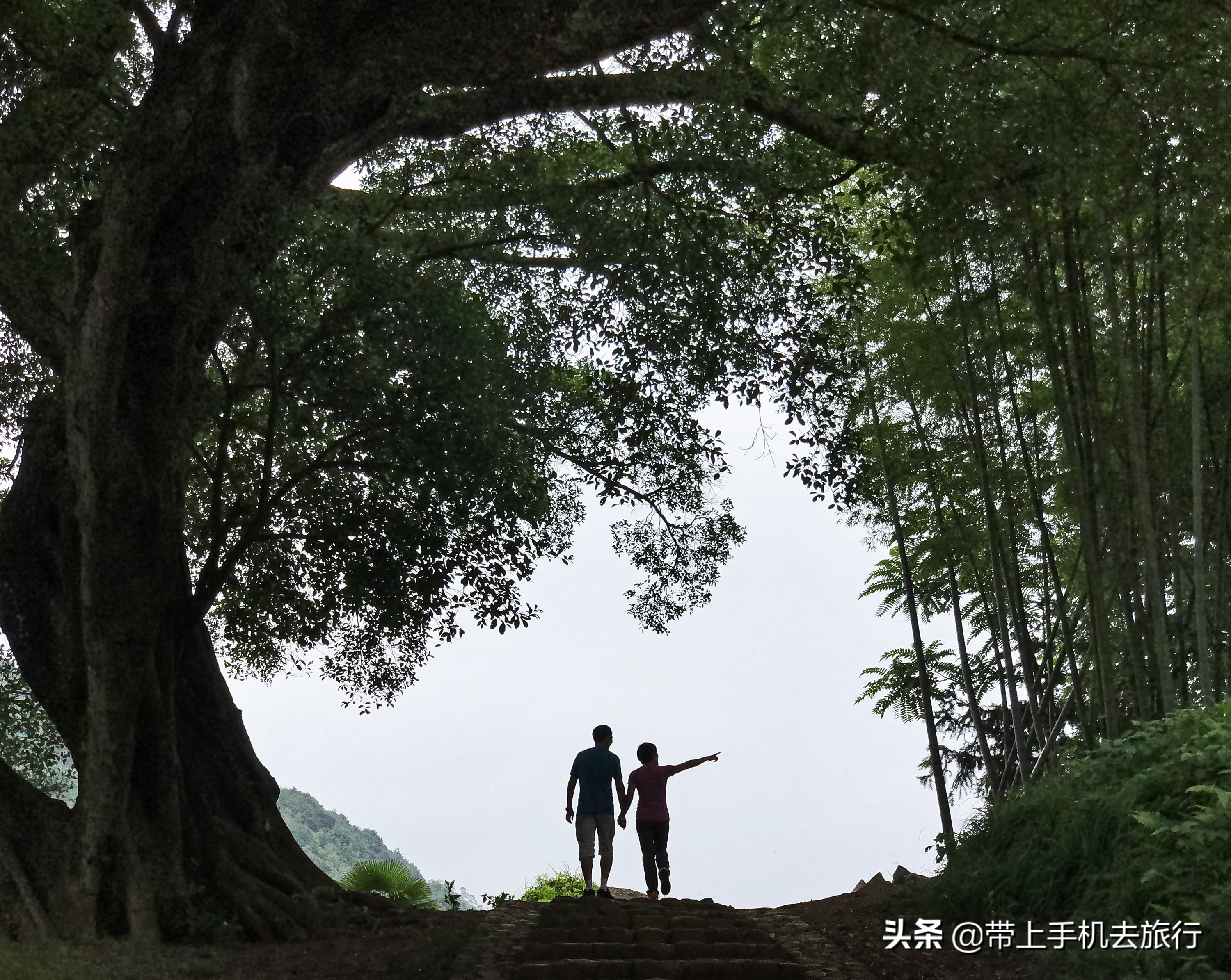 手机拍什么画面好看又清晰,如何让手机拍摄出的画面更够质感