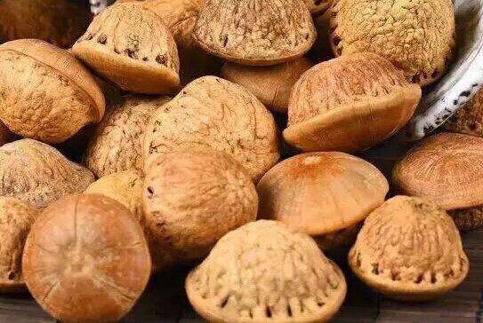 印度神油的主原料壮阳果，你知道它可以食用嘛