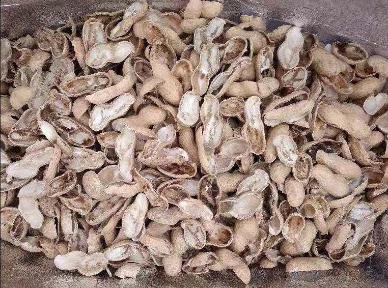 找点土加点料，找个袋子捂一捂，沤成花肥到了秋天就能用