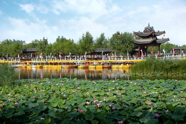 观赏荷花地方推荐河南,河南荷花特别多的地方在哪里
