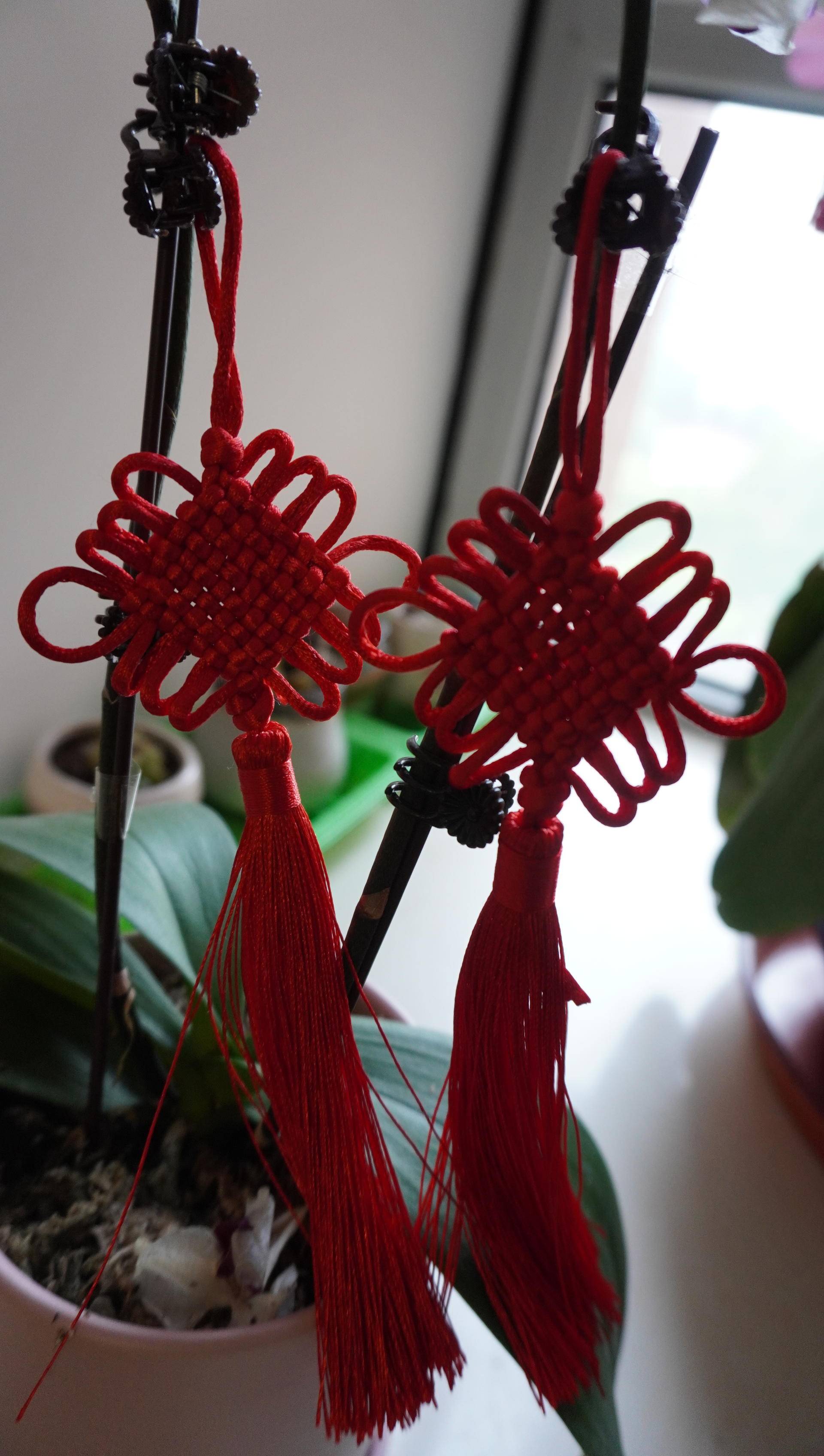 索尼微单6000与6100区别,索尼6100拍抖音评测