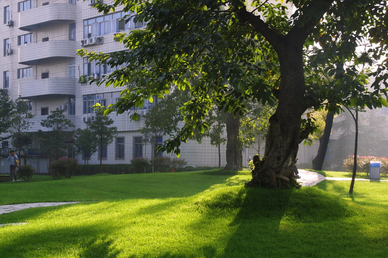 前景广阔！聚焦无人航空驾驶领域，电子科大这个新专业实力强劲！