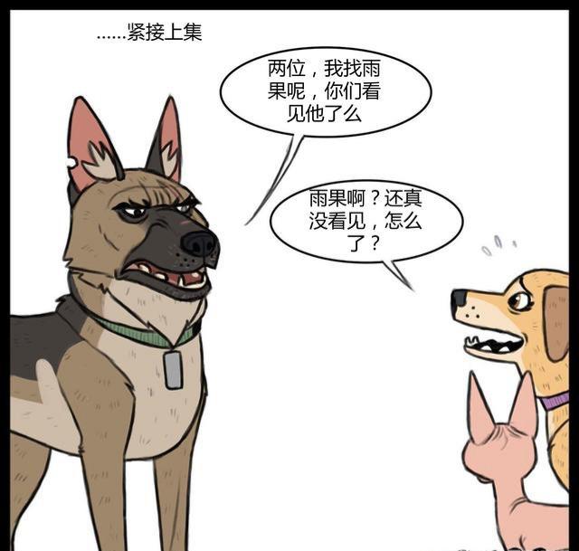 大狼狗小奶猫,大狼狗和小奶猫第一集