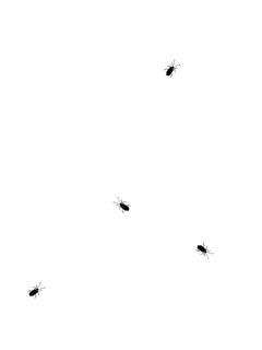 中航城天骏南区,中航城天骏北区