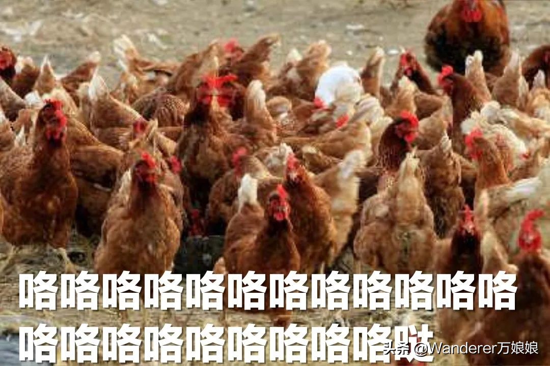 哈哈哈哈哈哈我笑到我妈把鞋塞我嘴里