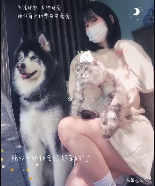 蜜桃臀挺翘饱满，是她成为无数宅男的梦中情人