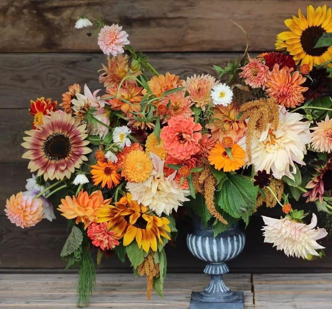 花要不要经常换水,花材正确处理方式及日常养护