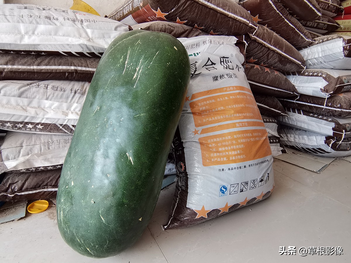 在农村适合卖什么东西赚钱,下农村卖什么东西最赚钱