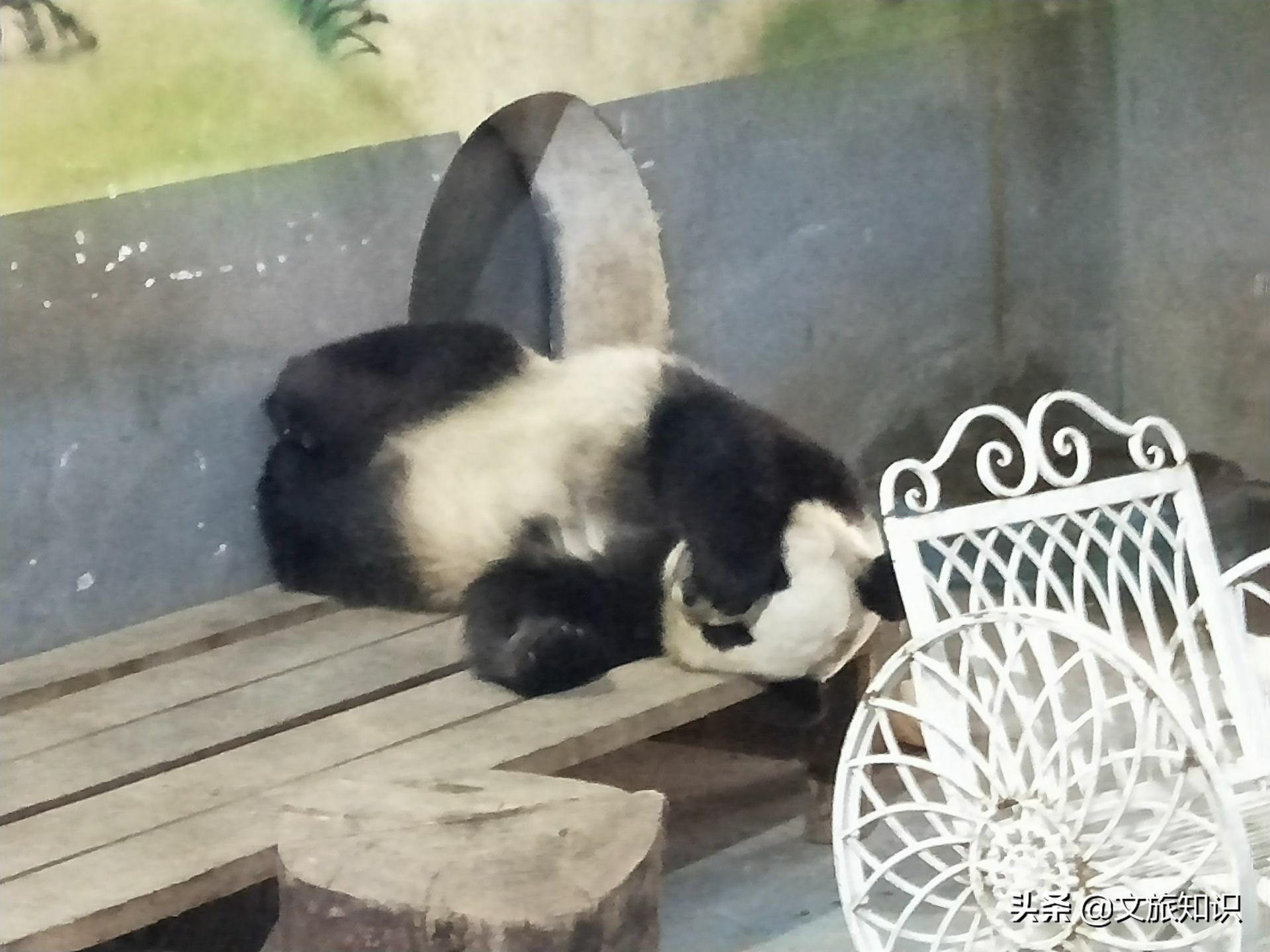 山东德州动植物园旅游区,德州市动植物园视频