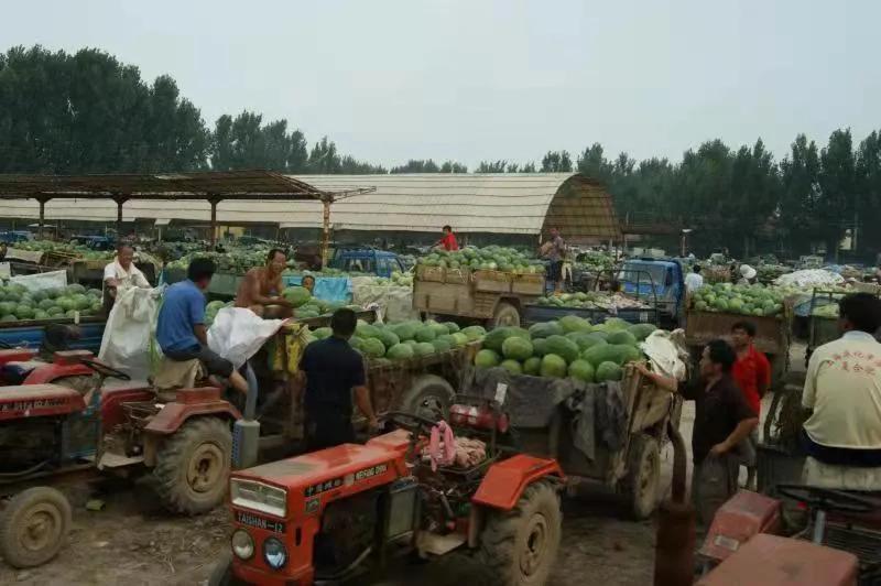 一村一品打造乡村产业,一村一品亿元村