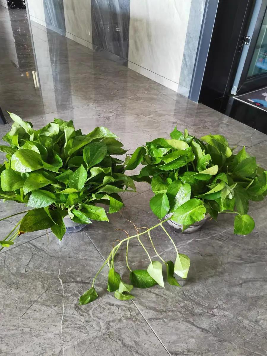 装修除味去甲醛有效果吗,装修除甲醛势在必行