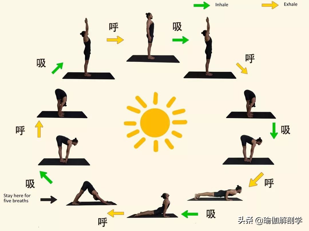 刚开始练瑜伽下犬式,瑜伽老师说体式