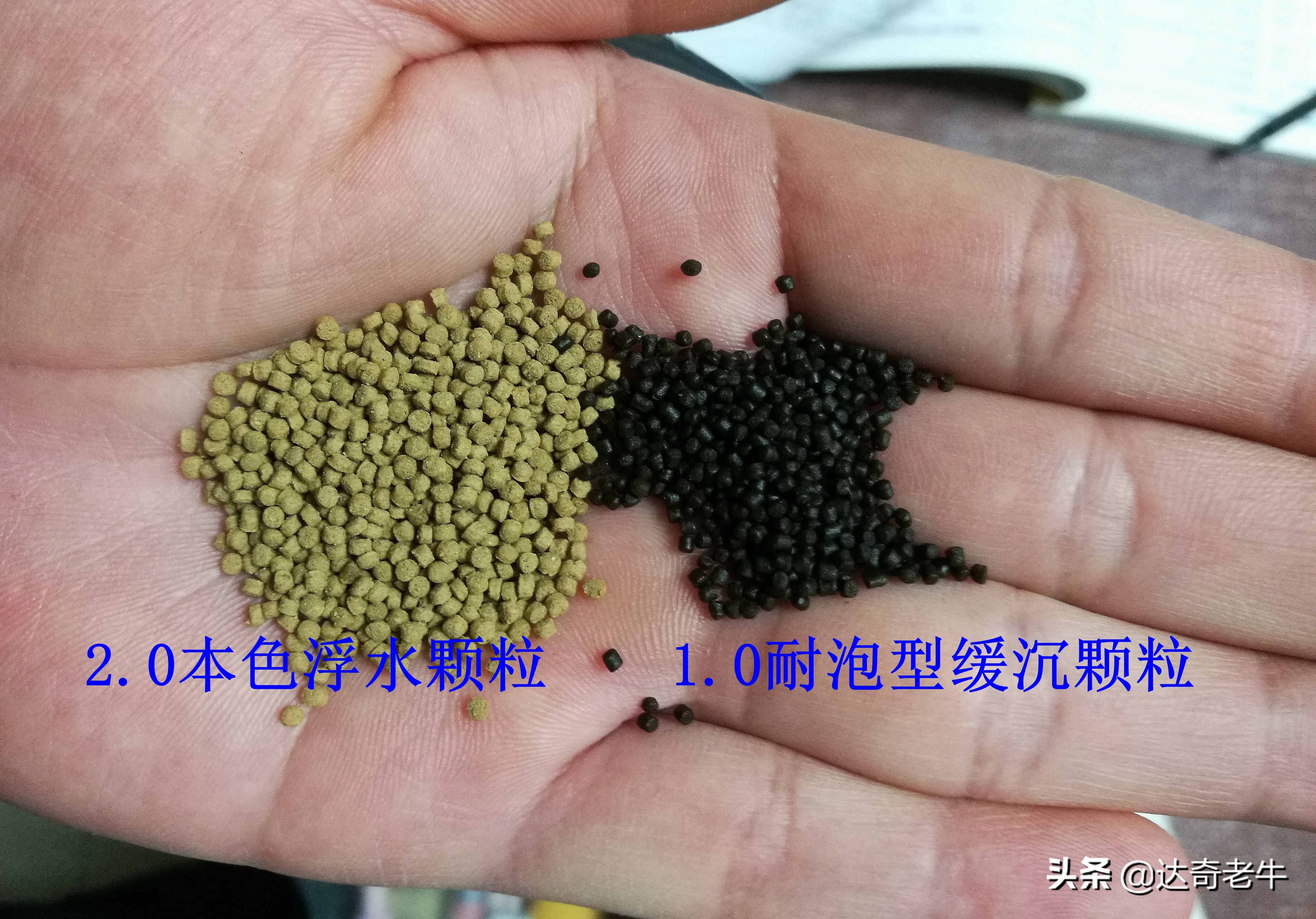 浮水颗粒怎么开成浮钓饵,浮水颗粒钓鱼选多大直径好用