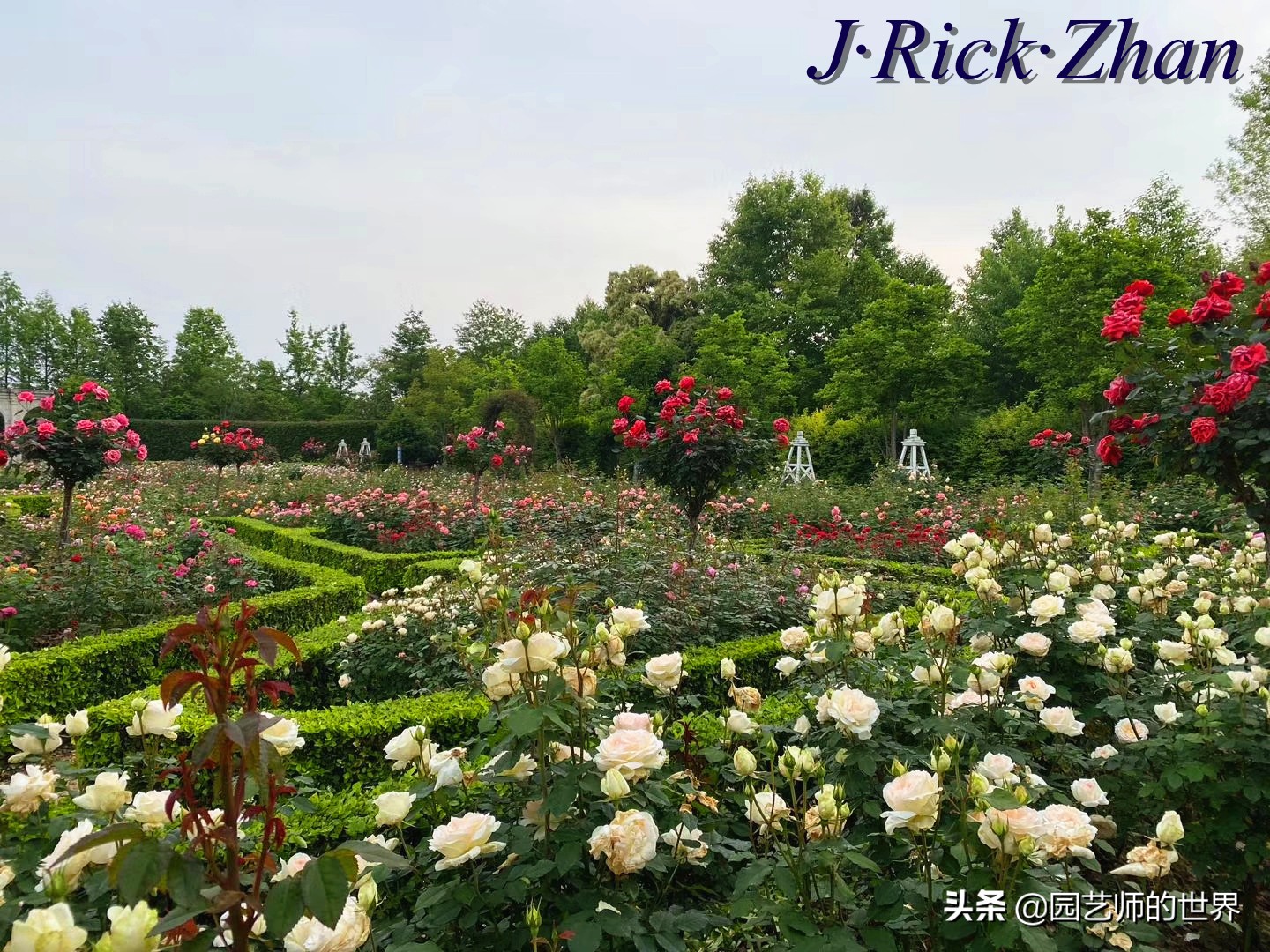 城市蔬菜园景观设计,蔬菜花园造型