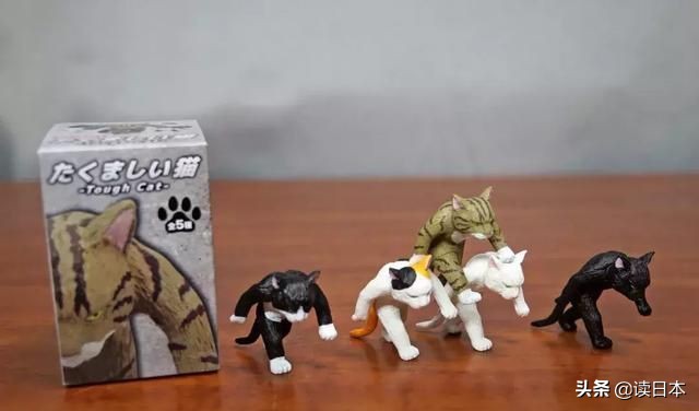 沙雕手办日本小哥,日本沙雕手办小哥