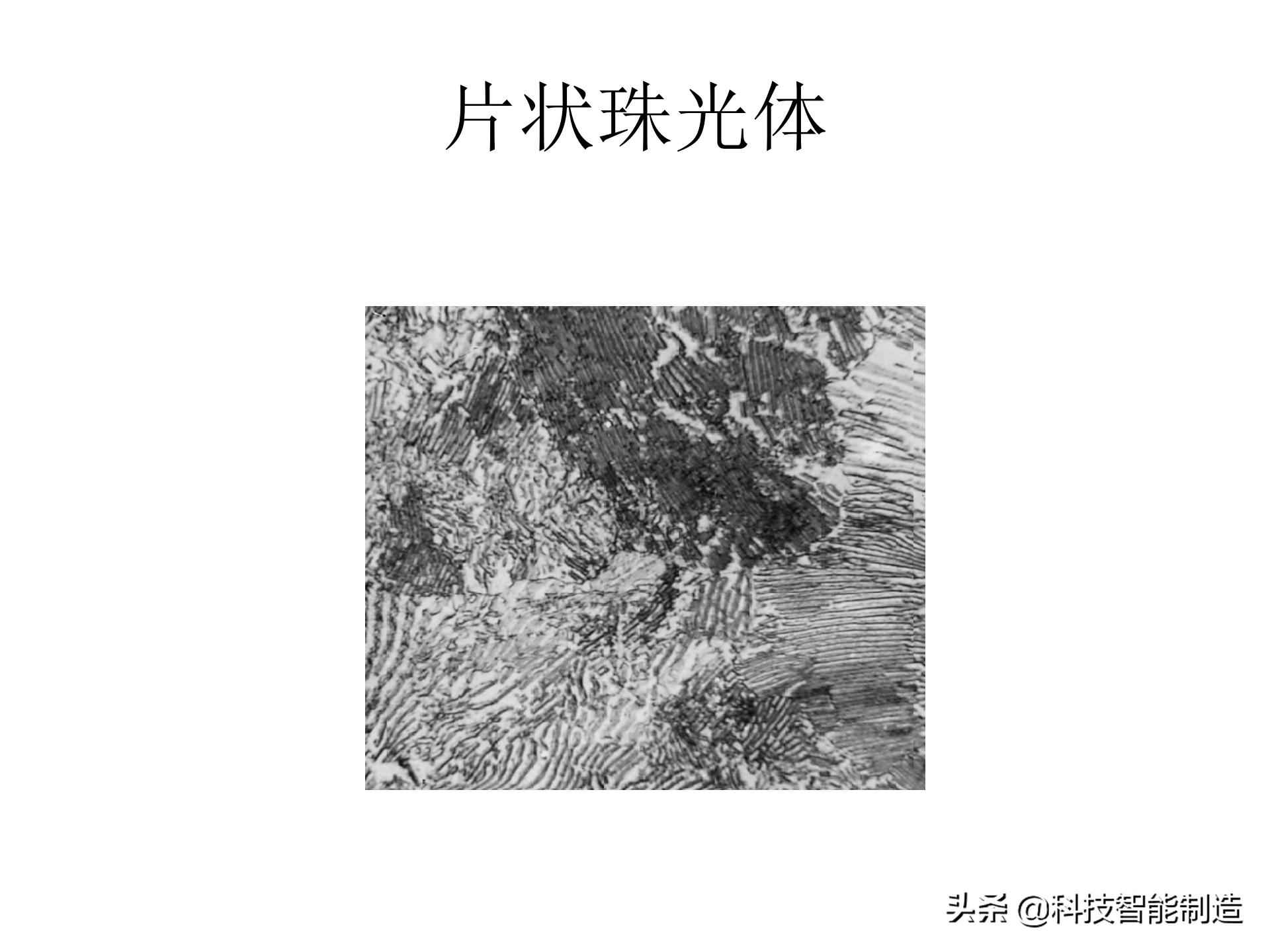 金属材料基础知识，金相组织如何看，金相组织告诉我们什么？