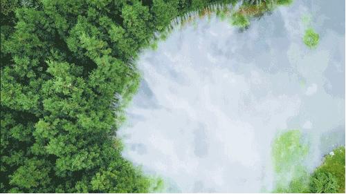 花水湾温泉度假酒店,金陵花水湾温泉酒店