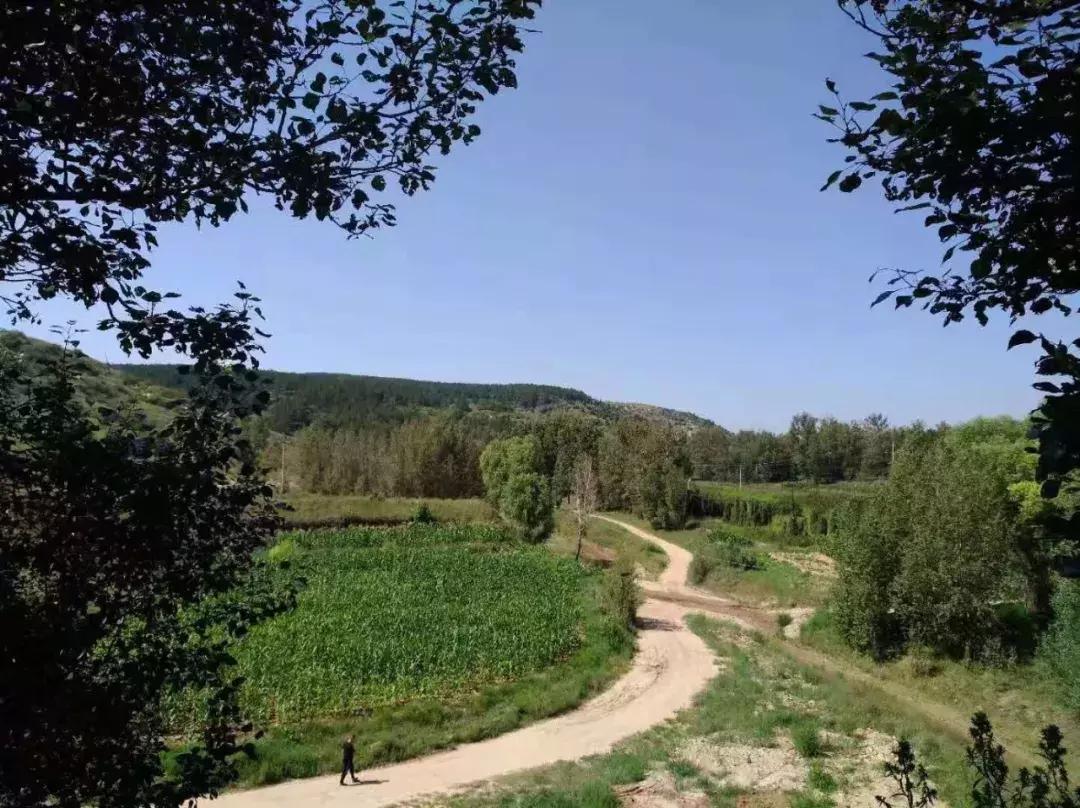 【本土】黄黑绿:印象三色准格尔旗“羊塔市”