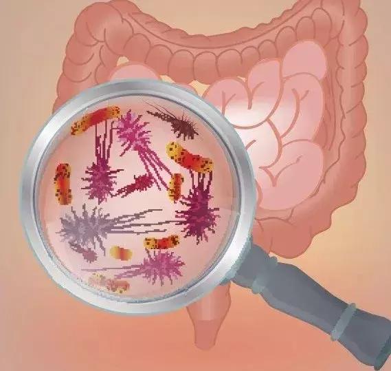 排毒的重要性和不排毒的危害,排毒去毒对身体的好处