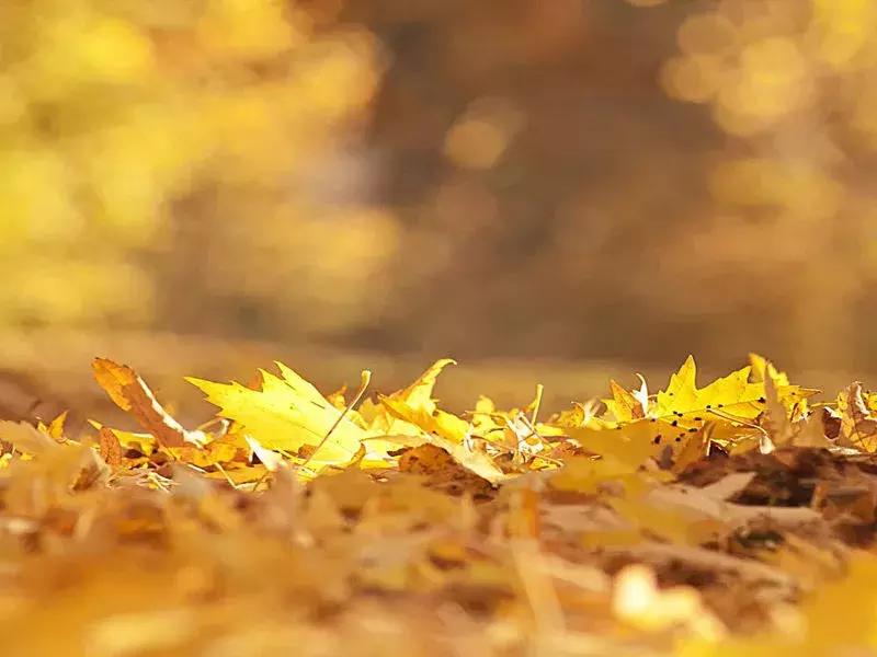 在大厂工作是种什么体验,生活在大厂是种什么样的体验