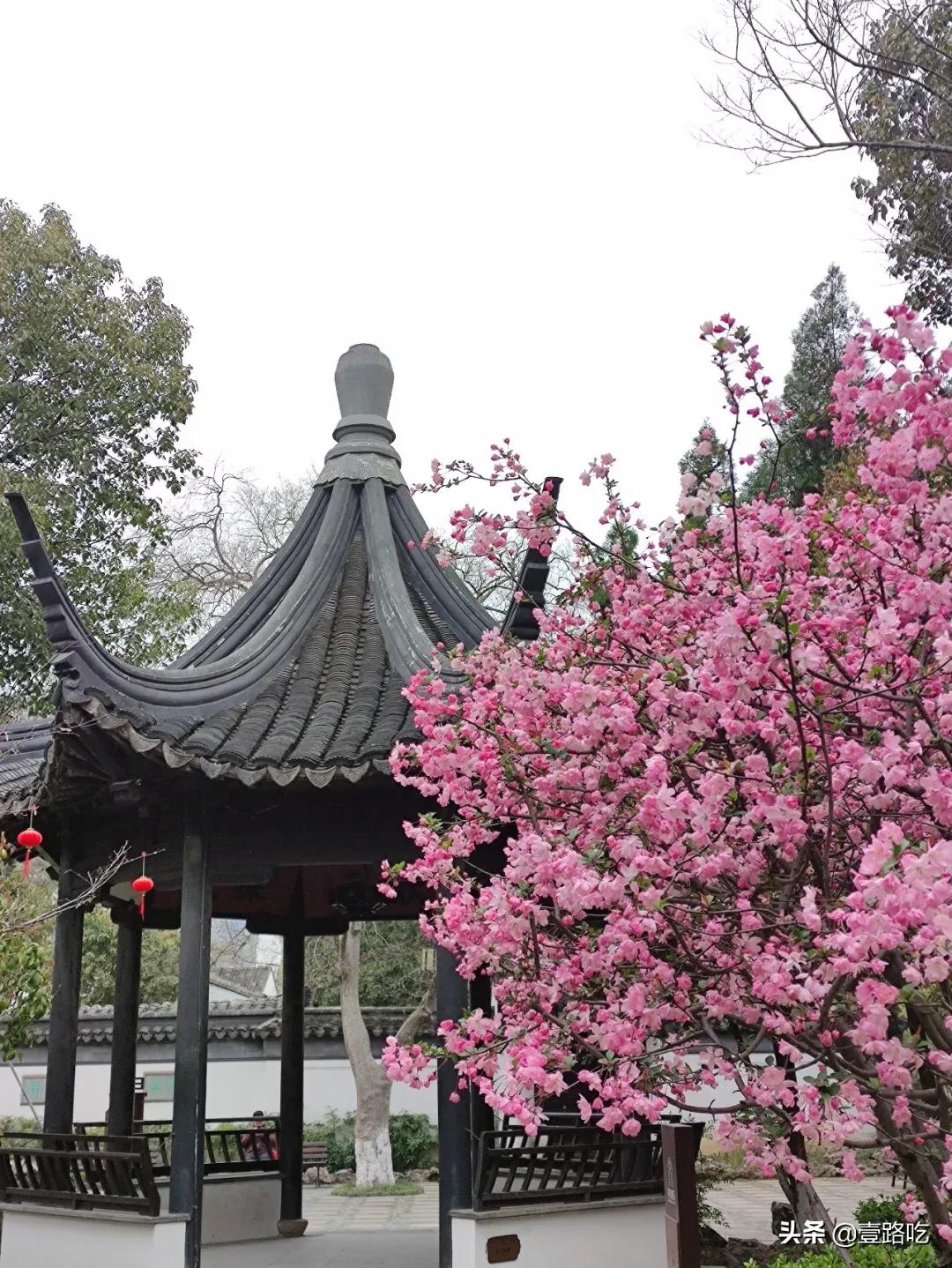 无锡人都在吃什么,无锡人为什么喜欢吃甜的