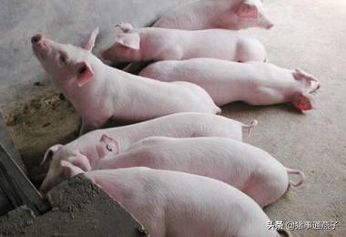 秋季疾病高发怎么办,秋季常见疾病及治疗方法