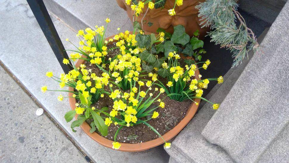 微软surfacego2功能介绍,微软surfacego2评测