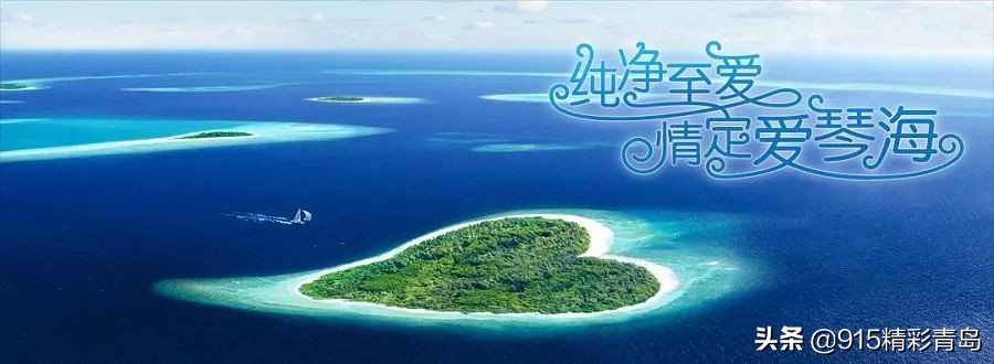中国最好的海刺海参,黄金刺参西沙群岛深海纯野生海参