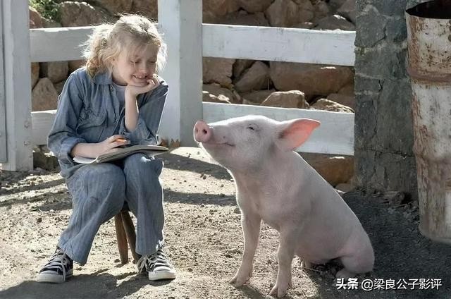 关于夏洛特的电影,夏洛特的网国语电影完整版