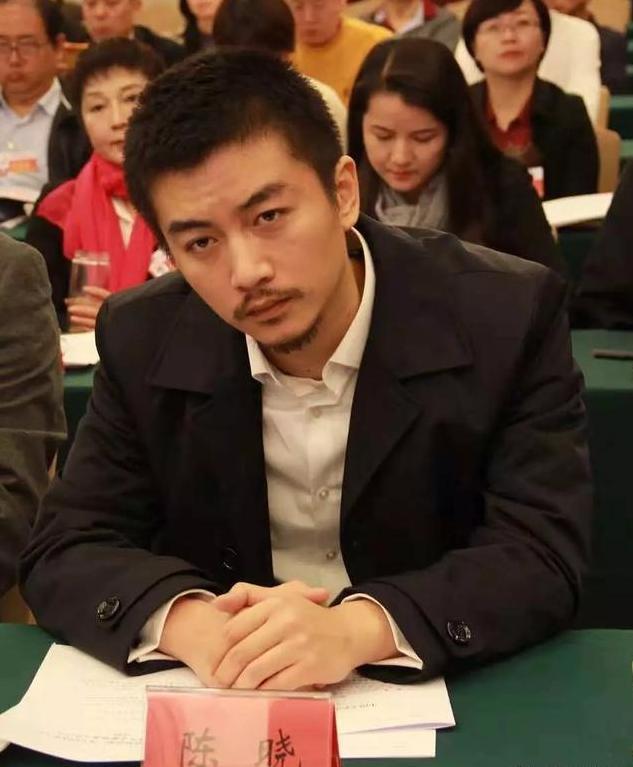 陈妍希从清纯女神到演技派实力派,陈妍希为什么会被称为集邮女