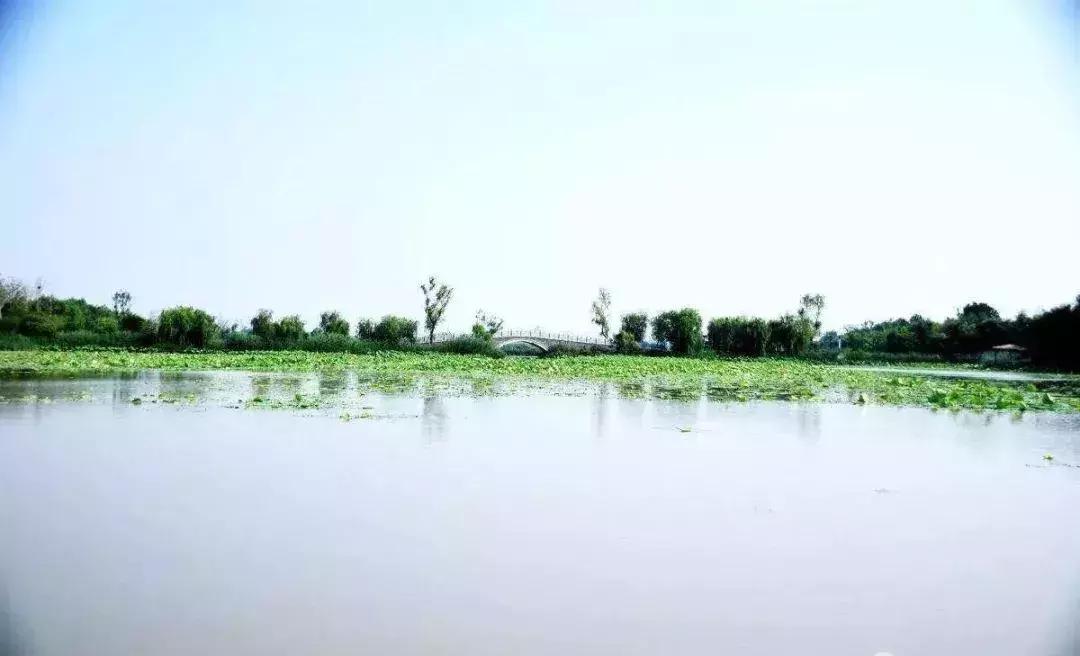 盛夏来感受传统古村落的气息,高青慢城