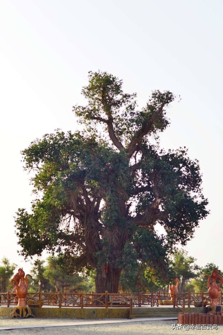 西天取经自驾游攻略,贵州出发自驾敦煌旅游攻略