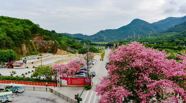 广东省内森林旅游景点,广东森林公园排行榜