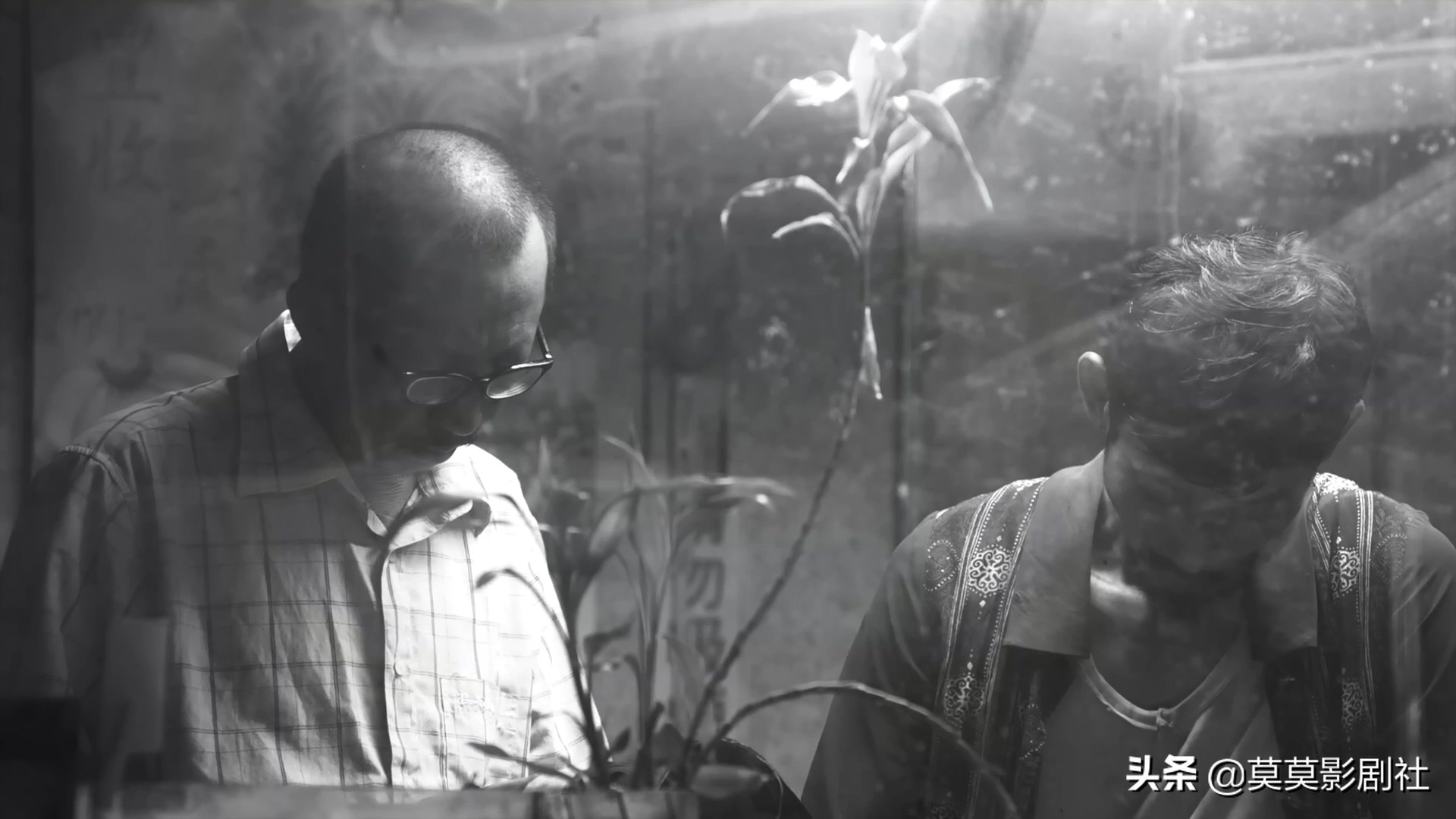 为何他眼睑低垂，是佛还是娼妓——《大佛普拉斯》的黑色幽默