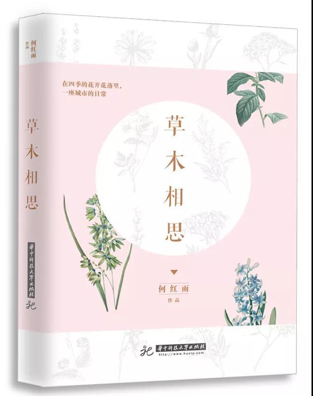 感恩节黑五买纽百伦,福利感恩节