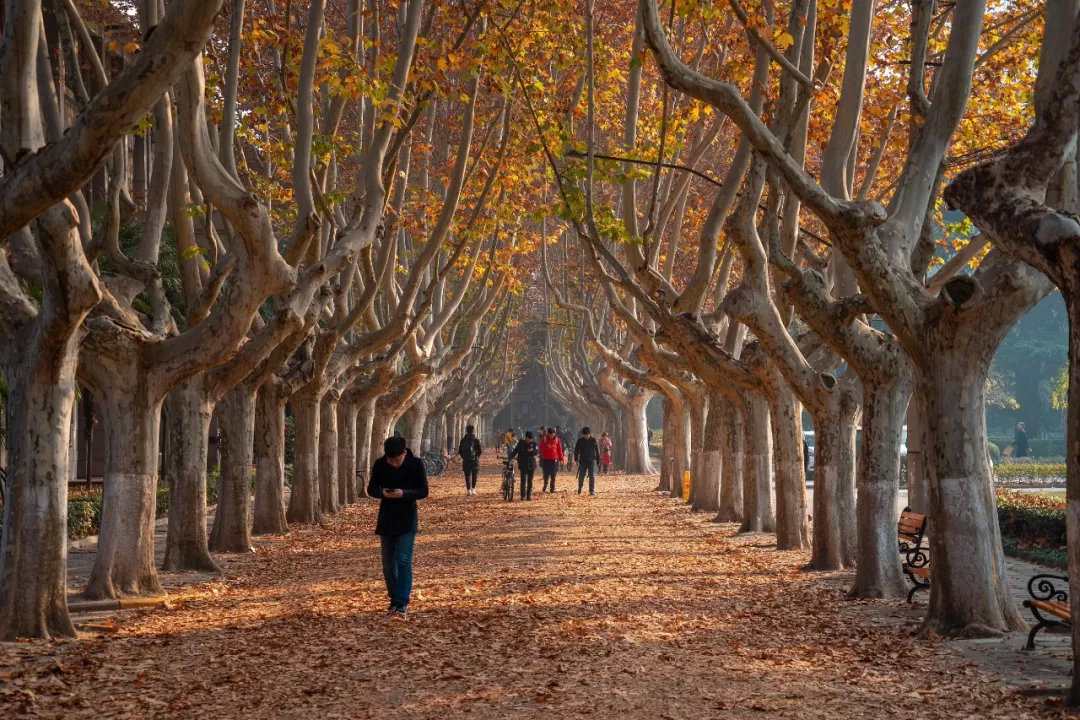西安人为什么长不胖,西安人为什么不会胖