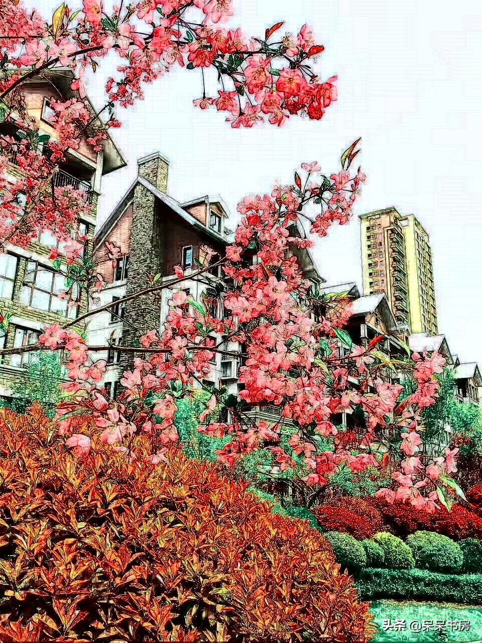 临沂北城小学岔河校区,临沂岔河小学和北城小学哪个好