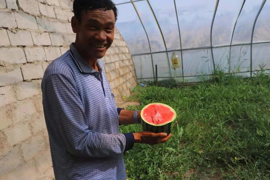 「走进乡村看小康」瓜州县河东镇：无籽西瓜“甜”心窝