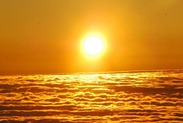 狗补钙怎么吃钙片,狗狗趴蹄吃什么钙片